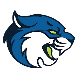 Bryant & Stratton College – VA logo